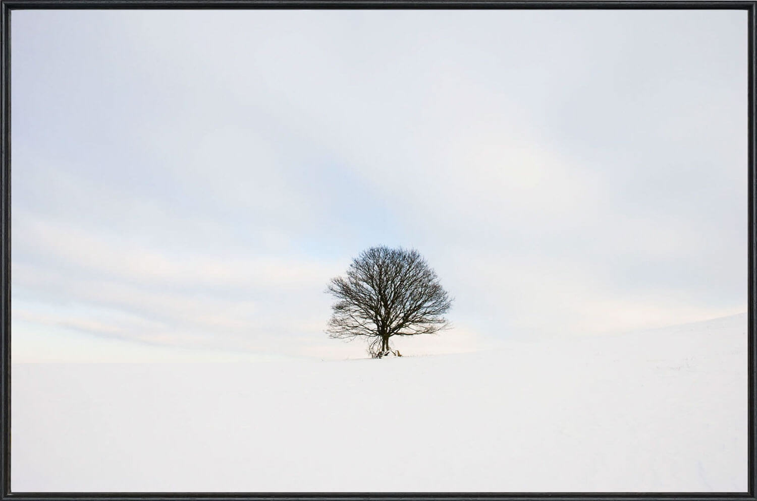 Alone in the snow