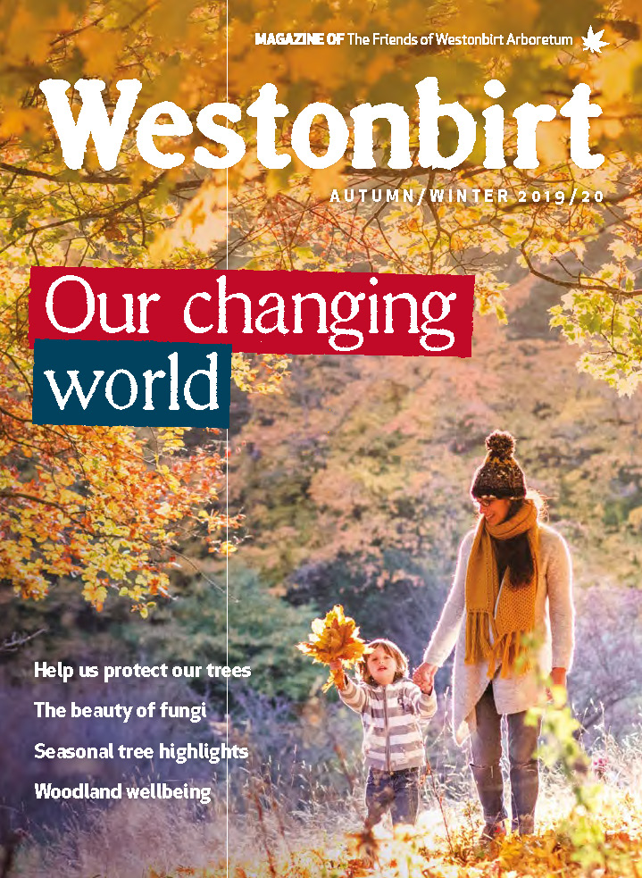 Westonbirt Magazine Autumn/Winter 2019
