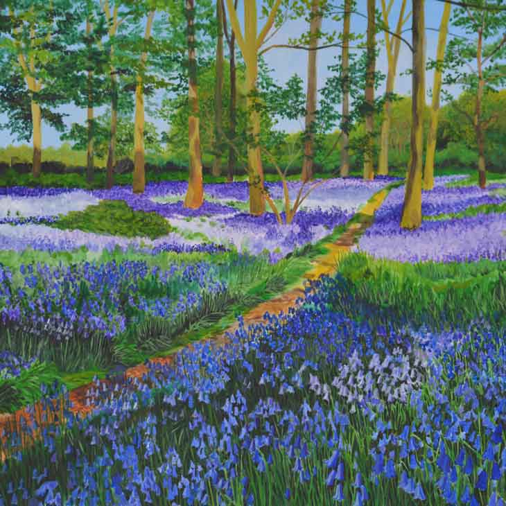 Bluebell path