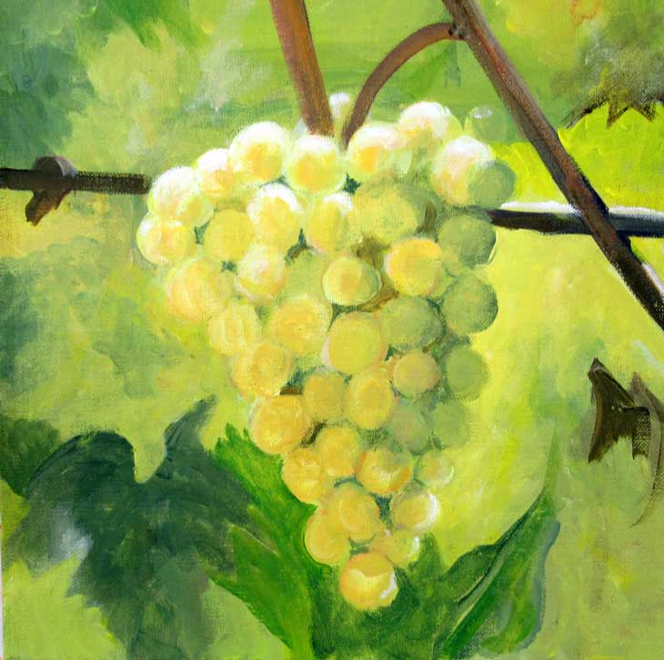 Yellow grapes by Sue Townsend