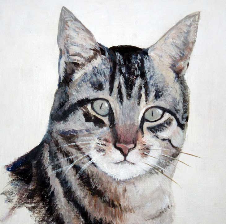 Cat by Sue Townsend