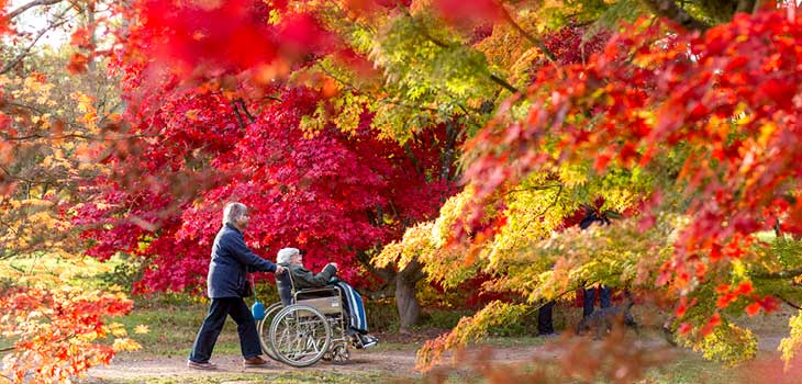 Autumn at Westonbirt