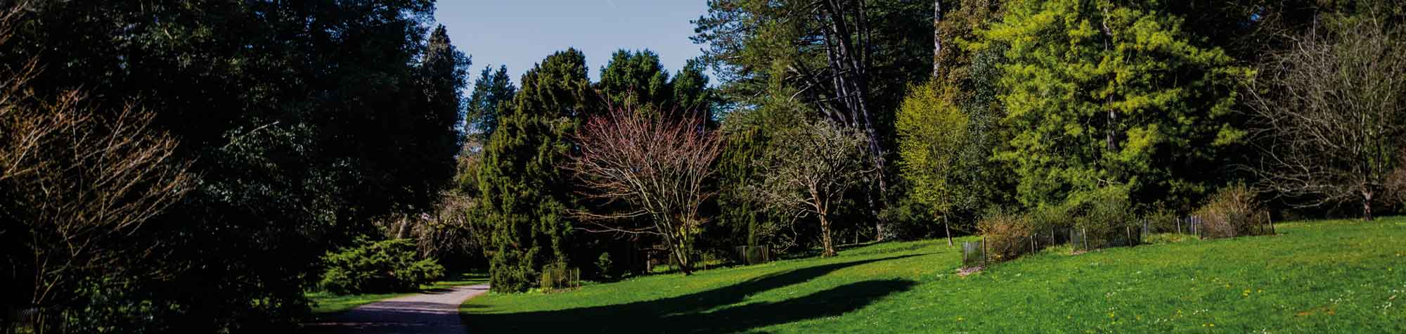 Conserving a national treasure, Westonbirt Arboretum