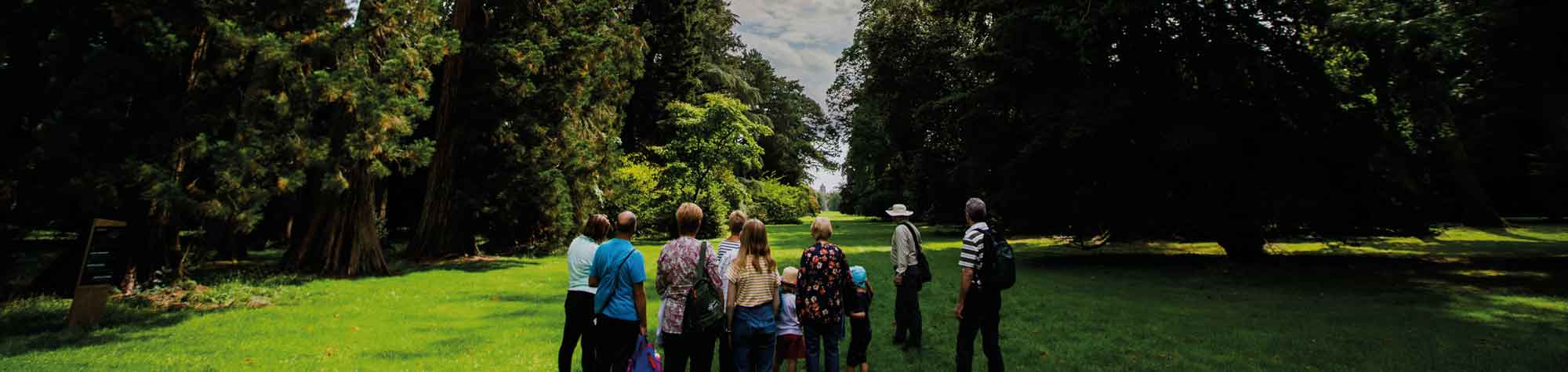 People exploring the trees at Westonbirt