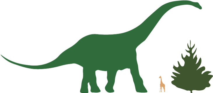 Height comparison Height comparison