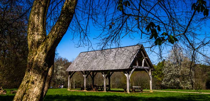 Be a Westonbirt advocate Be a Westonbirt advocate