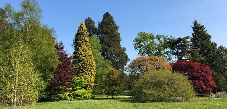 Vote for Westonbirt Arboretum