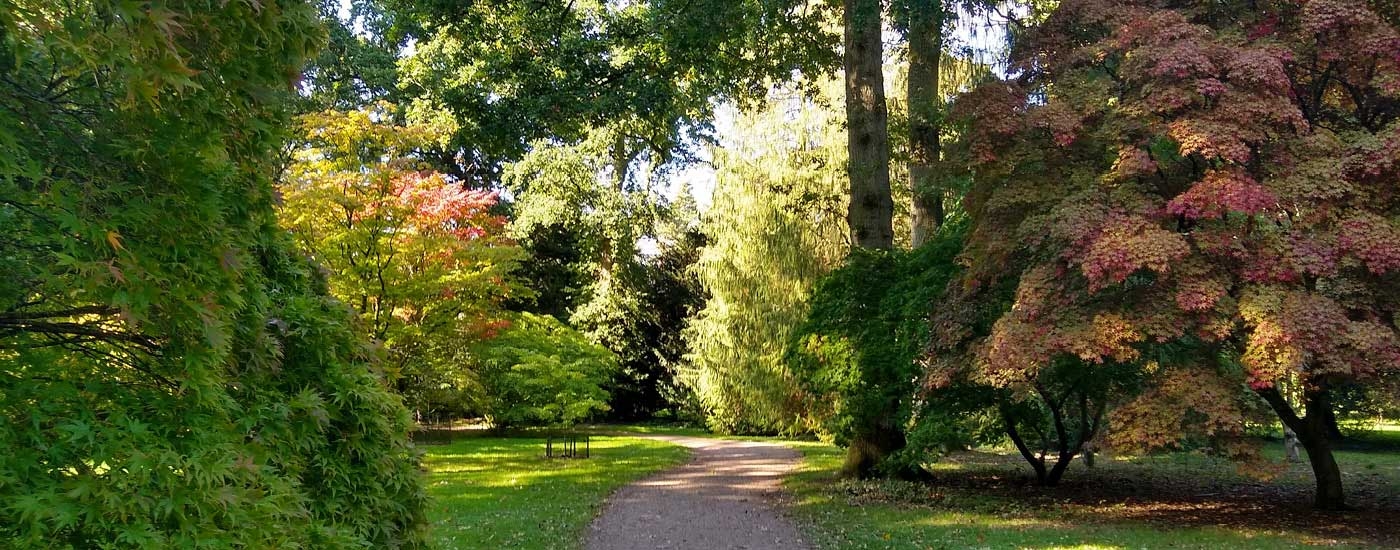 Autumn at Westonbirt Arboretum