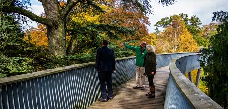 Walking over Stihl Treetop Walkway