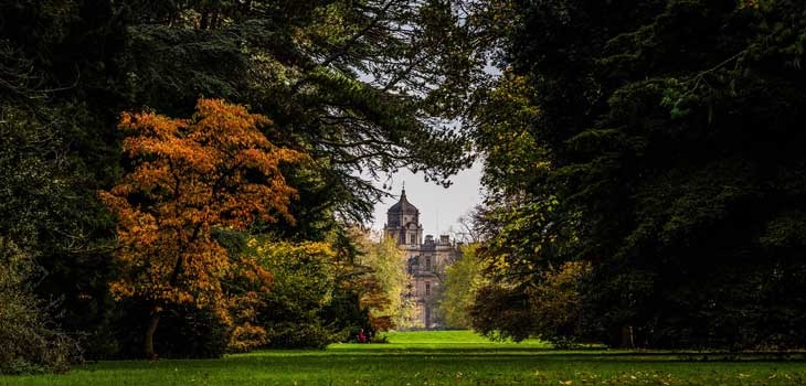 Spring at Westonbirt Arboretum