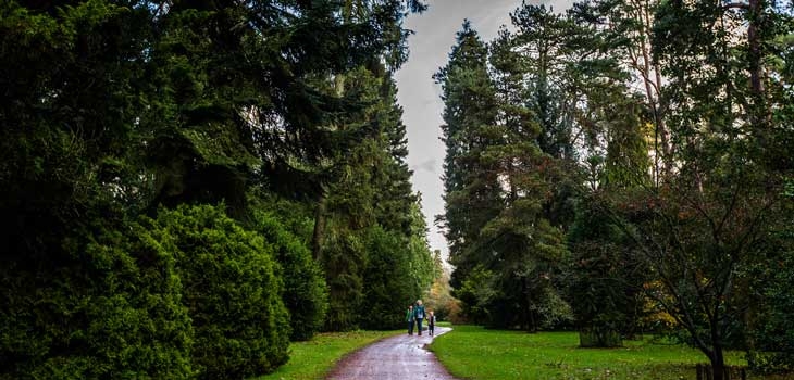 Exploring Westonbirt