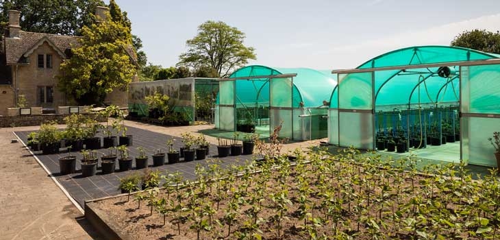 Propagation at Westonbirt Arboretum