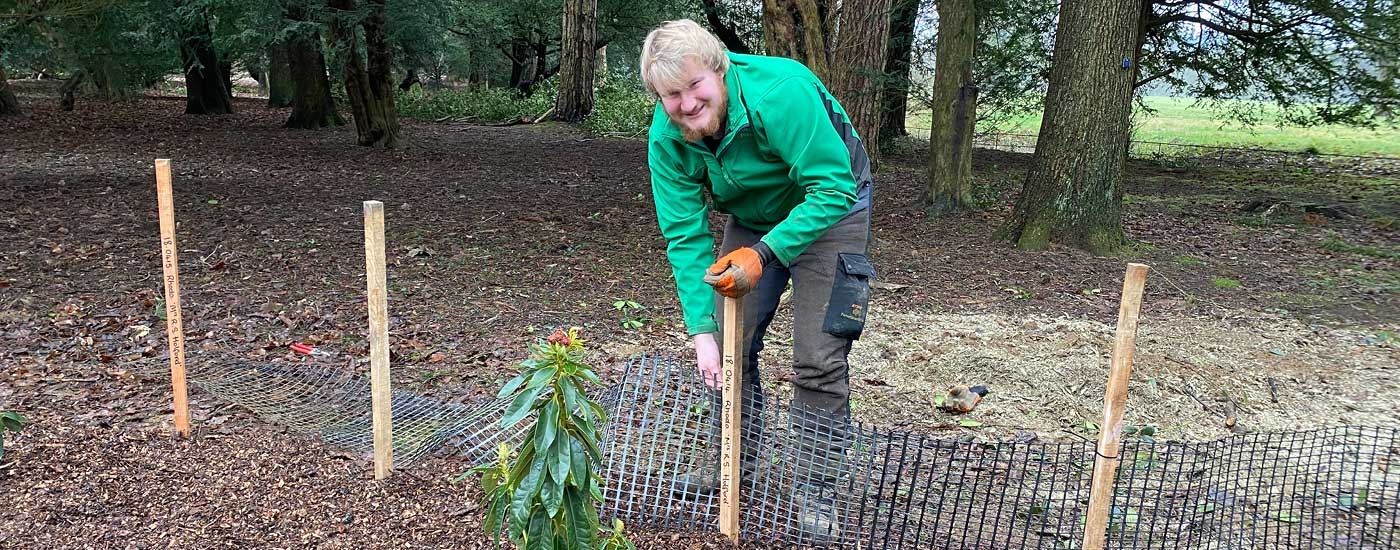 Volunteers at Westonbirt Arboretum