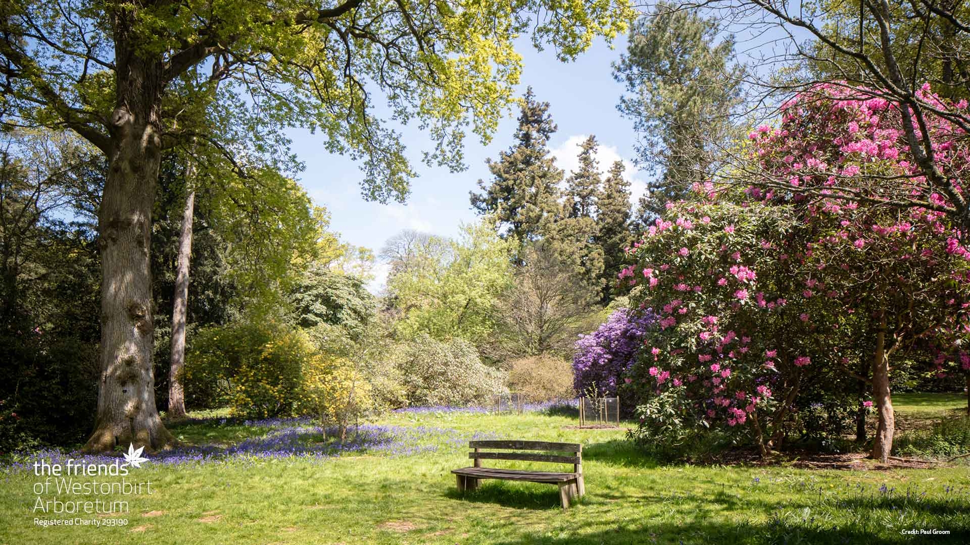 A spring scene at Westonbirt Arboretum
