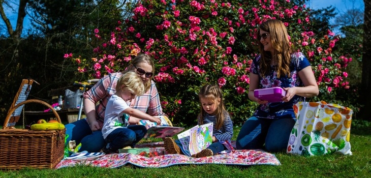 Summer at Westonbirt