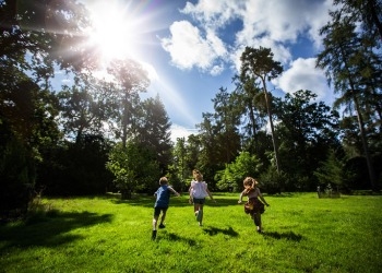 Things to do at Westonbirt this summer