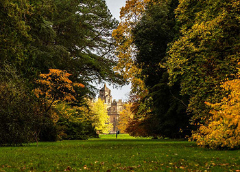 Autumn at Westonbirt Arboretum