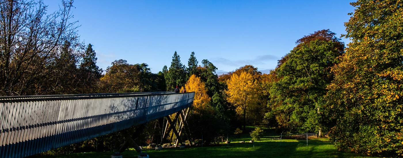 Walkway at Westonbirt Arboretum