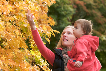What does Westonbirt mean to you?