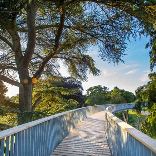 Tree Top Walkway