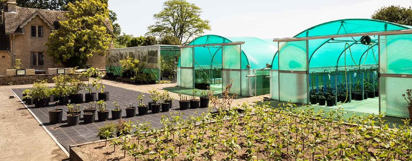 Propagation at Westonbirt Arboretum