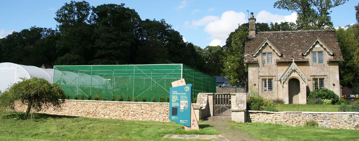 Propagation area at Westonbirt Arboretum