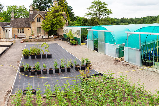 Propagation at Westonbirt Arboretum