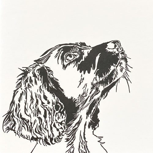 Penguin Ink