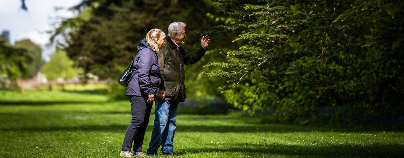 Spring at Westonbirt Arboretum