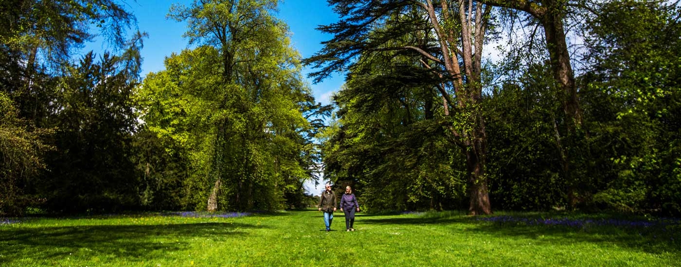 Visit Westonbirt Arboretum in every season