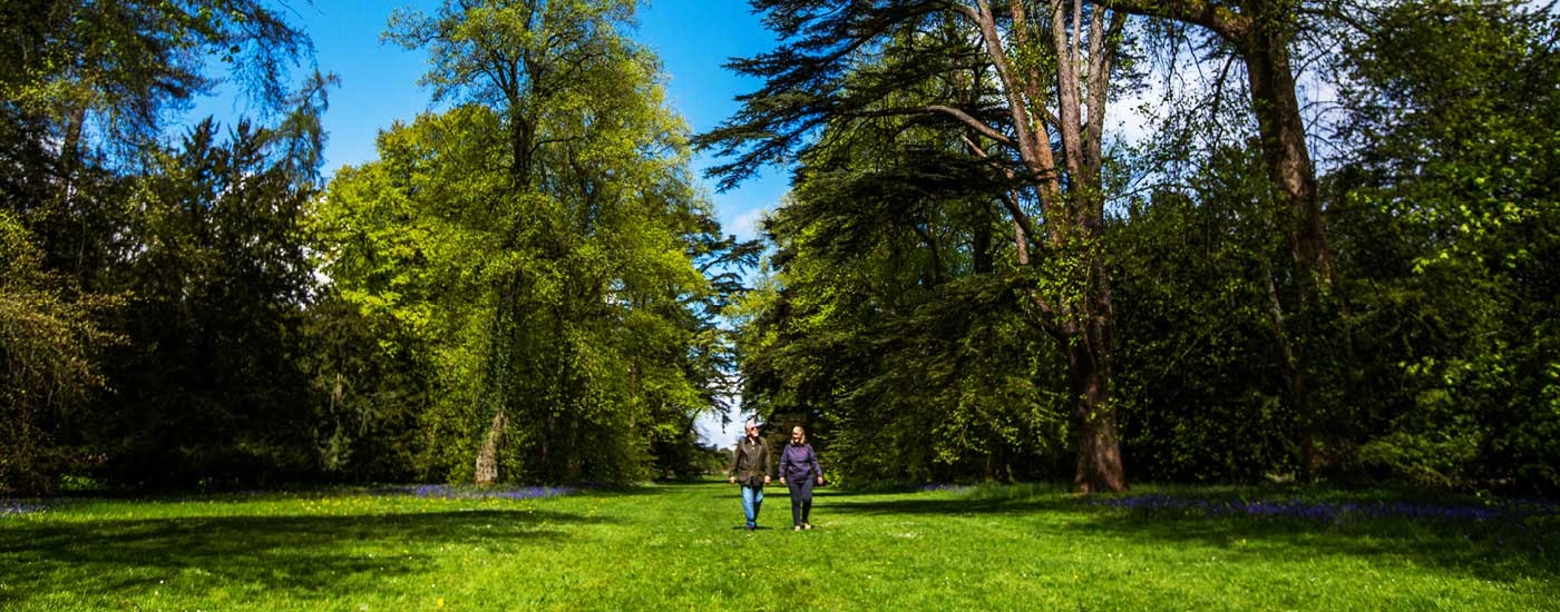 Visit Westonbirt Arboretum this spring Visit Westonbirt Arboretum this spring