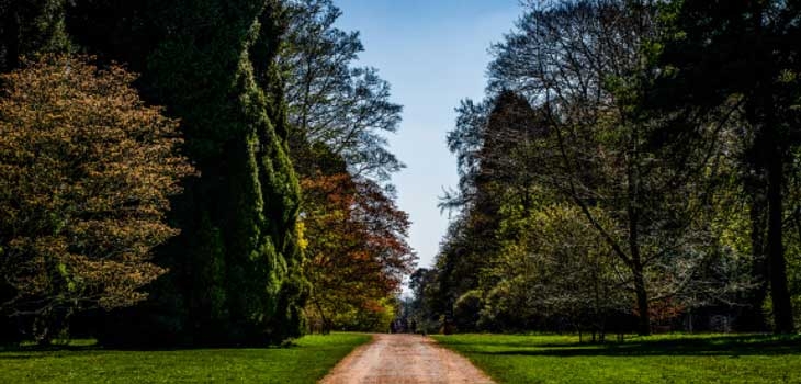 Spring at Westonbirt Arboretum