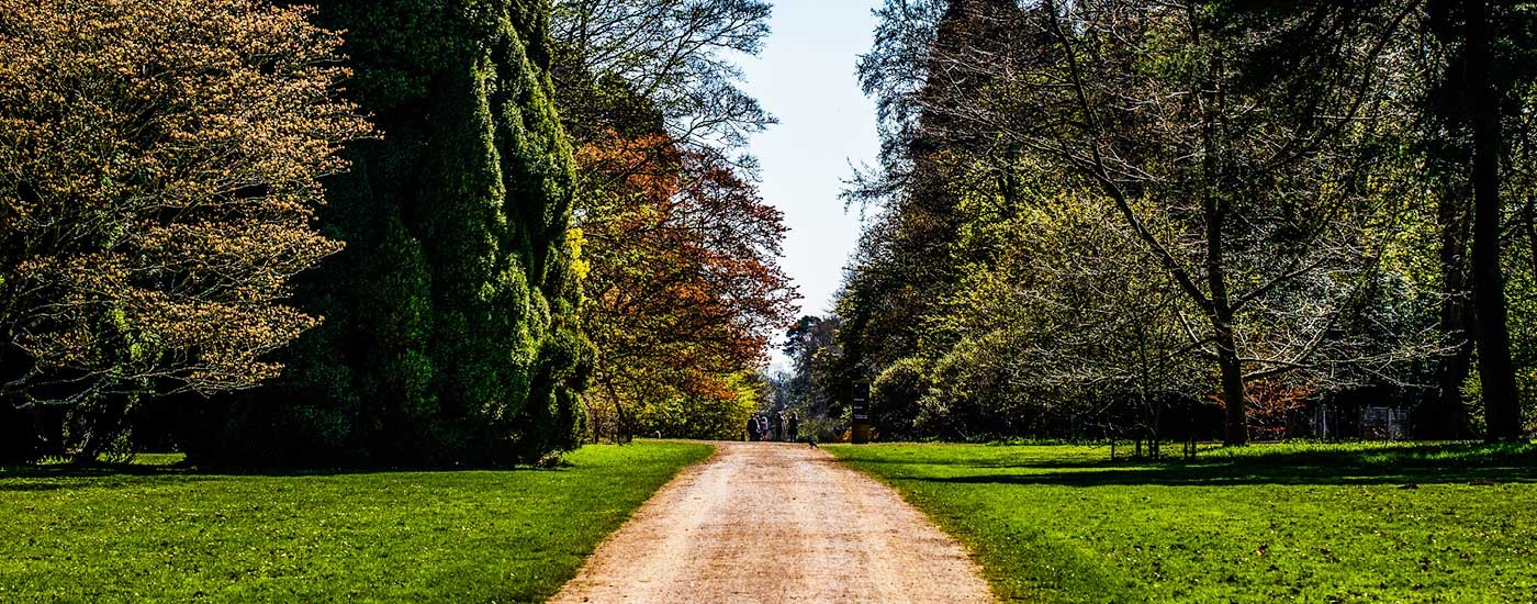 Spring at Westonbirt Arboretum