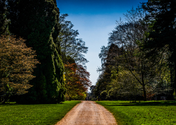 Spring at Westonbirt Arboretum