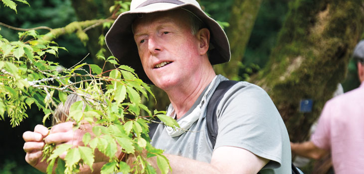 People exploring the trees at Westonbirt through touch, smell and sound