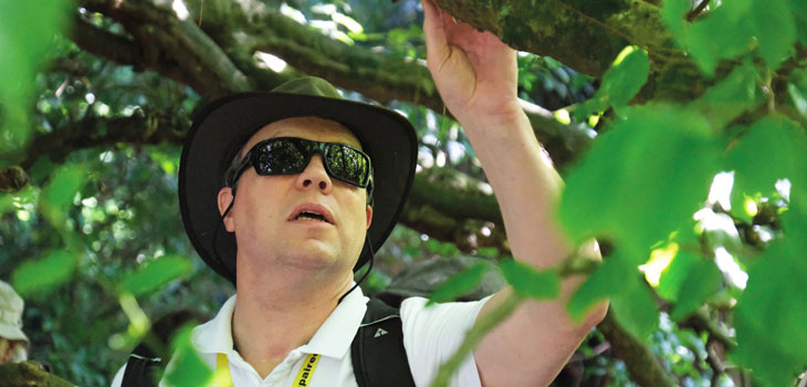 People exploring the trees at Westonbirt through touch, smell and sound