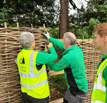 Restoring Westonbirt's bird hide