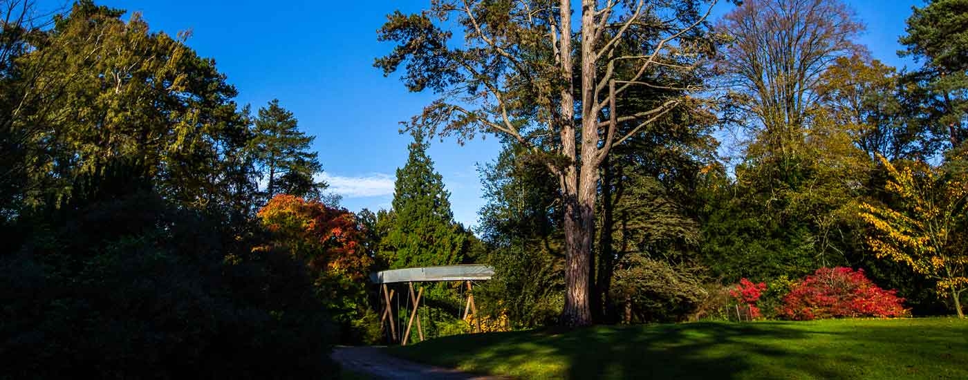 Visit Westonbirt Arboretum in every season