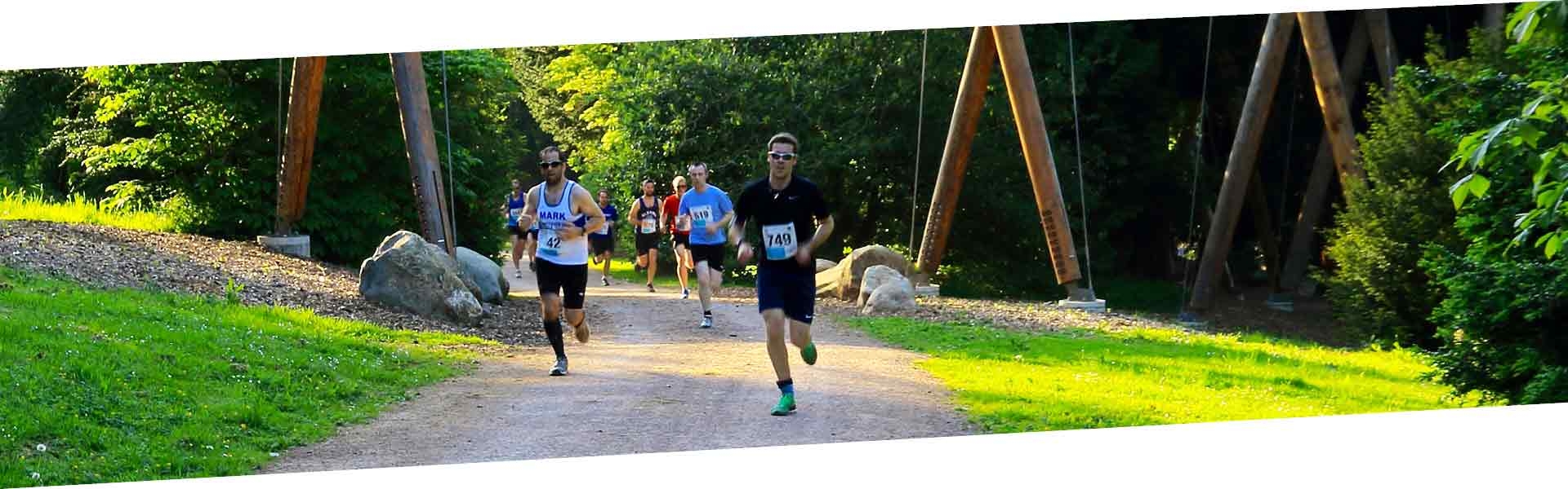 Runners underneath the Treetop Walkway