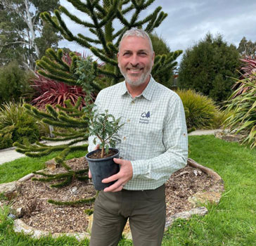 Mark Ballard excitedly holding a young plant of Lomatia tasmanica (King’s Lomatia), which is extremely rare and critically endangered