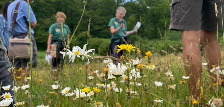 Guided walks at Westonbirt Arboretum