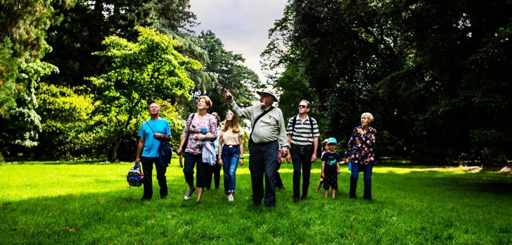 Exploring Westonbirt