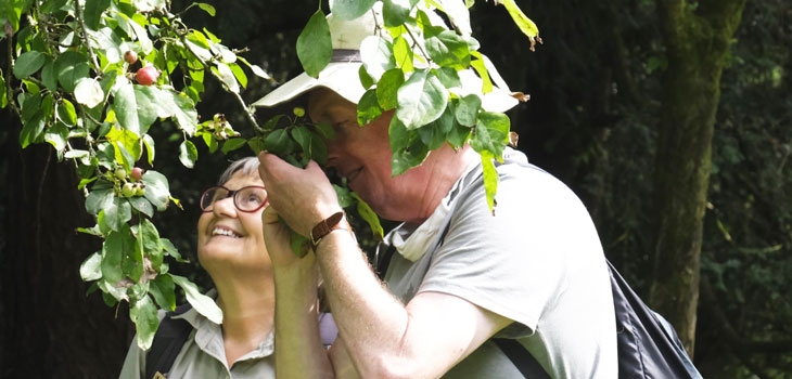 Exploring Westonbirt