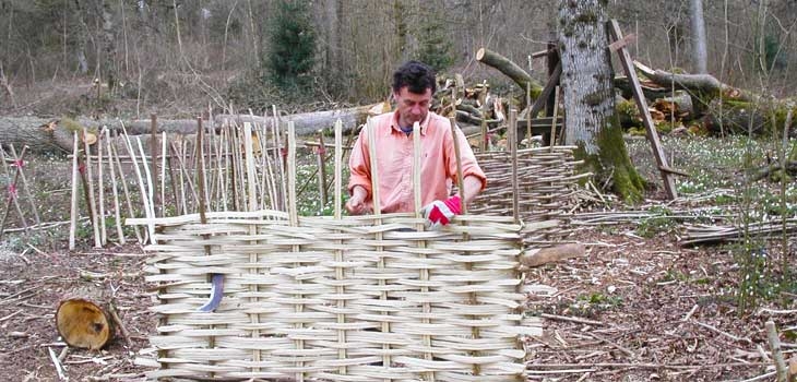 Person using coppiced material to create a fence