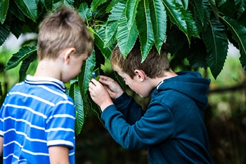 Westonbirt Arboretum: A Summer of Fun and Discovery