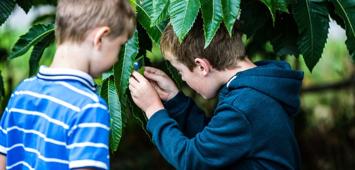 Children exploring Westonbirt Arboretum