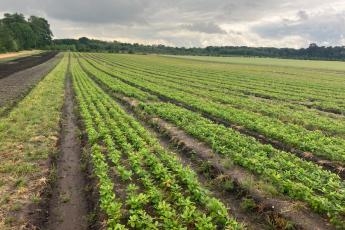 Silk Wood Community Planting Project - A trip to Delamere Nursery