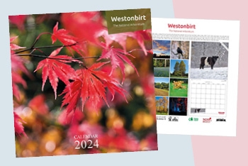 The Westonbirt Calendar: A stunning celebration of nature
