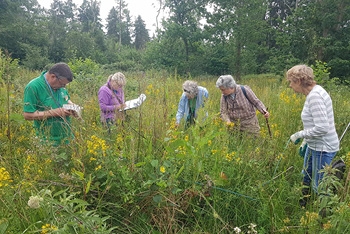 Silk Wood Community Planting Project: Baseline monitoring 