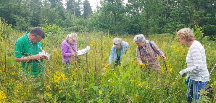 Volunteers conducting baseline monitoring in Silk Wood